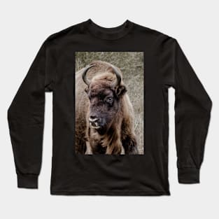 European bison portrait Long Sleeve T-Shirt